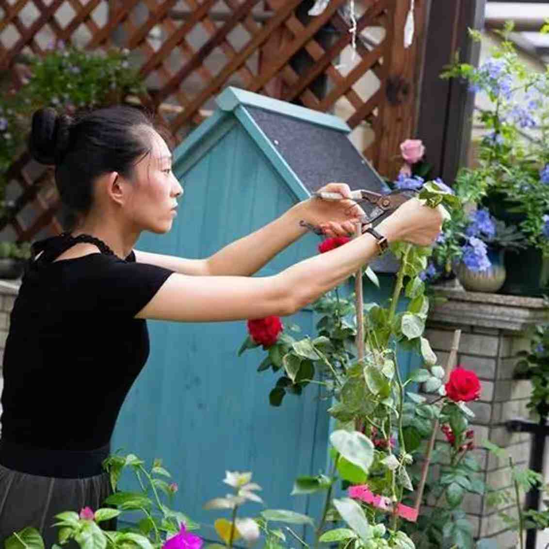 绿植管家：梁正芳