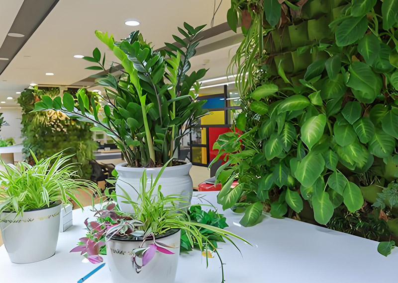 科学养护：曲江智慧大厦专业守护绿色生命的奥秘