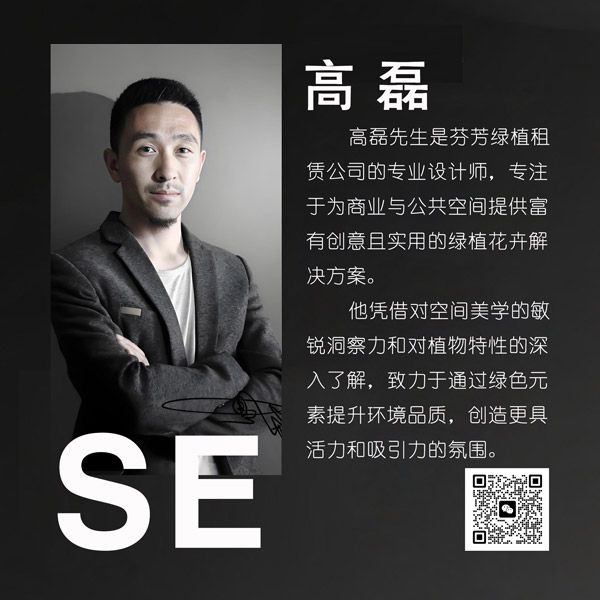 商业设计师：高磊