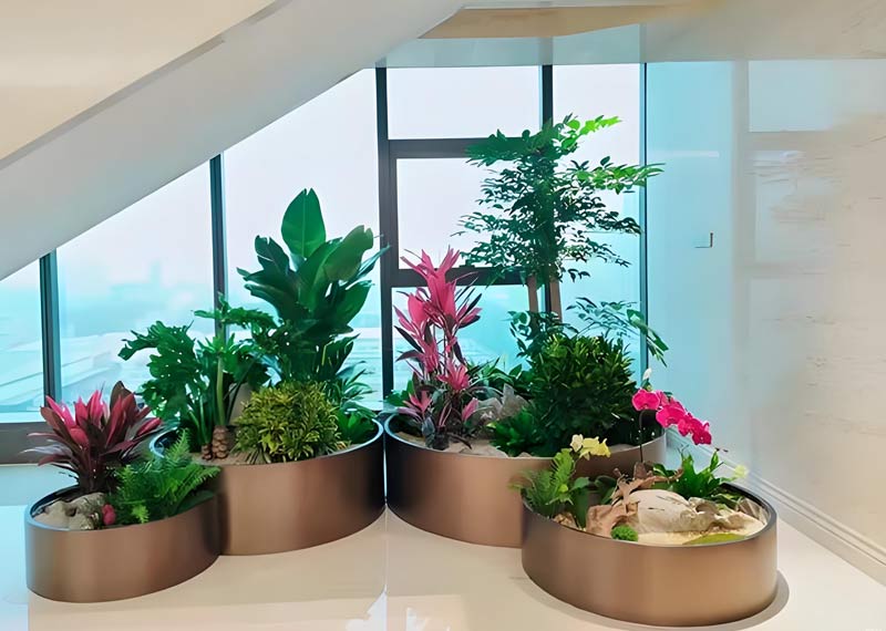 西安芬芳绿植租赁：为酒店注入呼吸的诗意