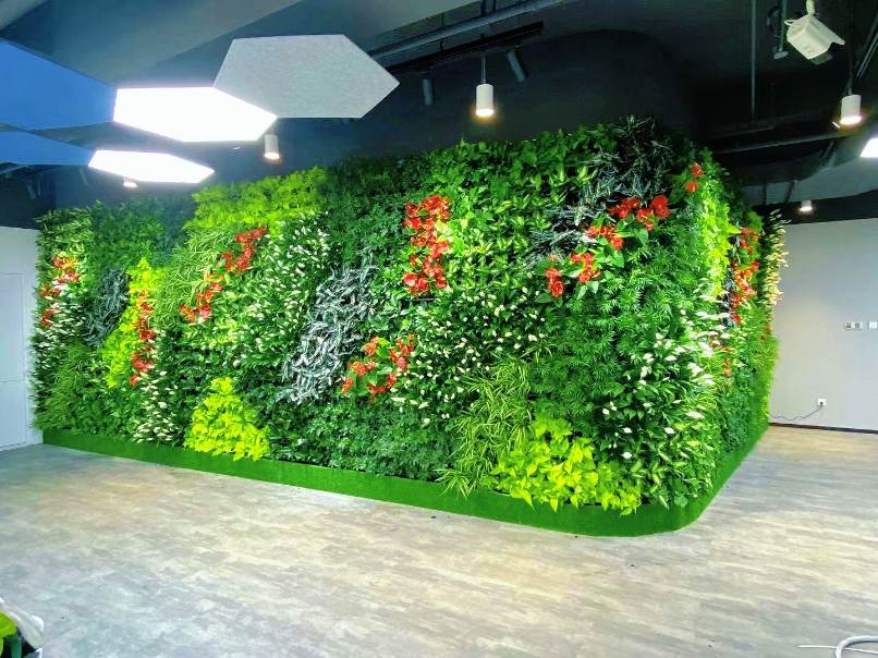 西安芬芳园艺绿化养护，同城免费上门设计