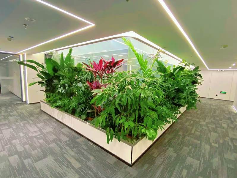 西安芬芳园艺为现代办公与商业空间定制生态美学解决方案