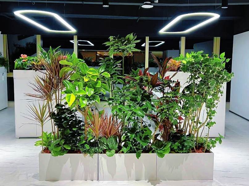 城市绿洲的塑造者——西安芬芳园艺的专业与影响力