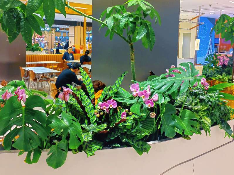 一站式绿意管家，24小时服务——西安芬芳园艺为您花卉租摆保驾护跨