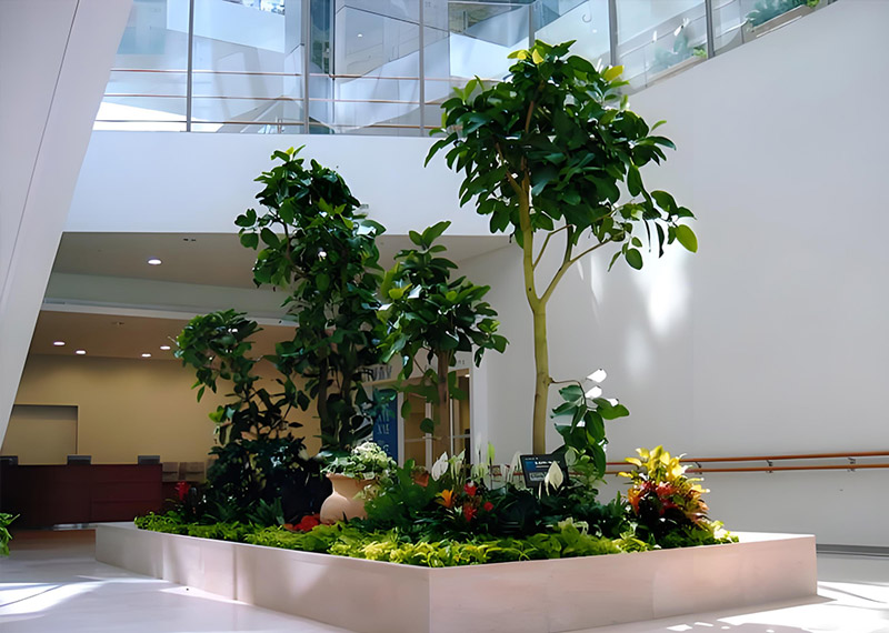 西安芬芳园艺为互联网企业定制办公室绿植造景,靠谱的西安办公室绿植租赁公司