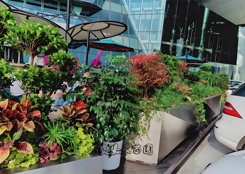 成本优化视角下的绿植租赁：西安企业怎样做到经济效益和环保效益