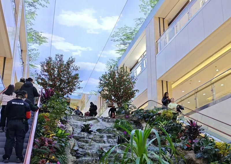 靠谱的西安办公室花卉租赁公司，西安建筑工程行业绿植租赁市场行情与需求分析