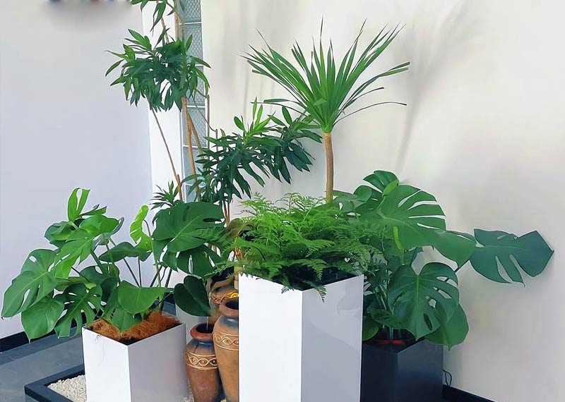 ​西安绿植租赁的空间美学升级,西安芬芳园艺垂直绿化与植物墙专业突出，西安绿植租摆
