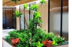 2027西安绿植租赁行业前景预判：细分赛